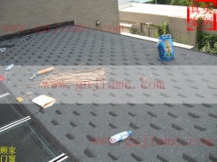 �¸���피����D-�¸���